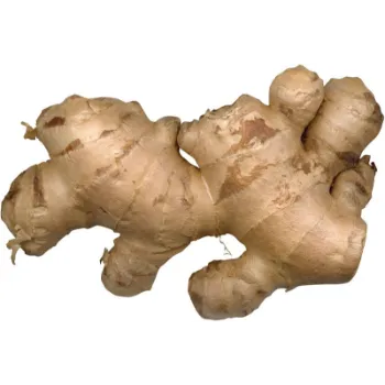 Ginger (37)-8774115-69308.webp